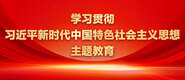 操插啊啊喷水学习贯彻习近平新时代中国特色社会主义思想主题教育_fororder_ad-371X160(2)